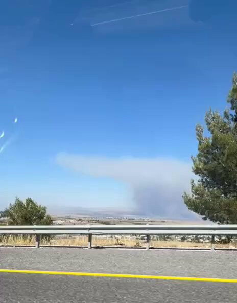 Co2EWQe t51LKDTl.jpg