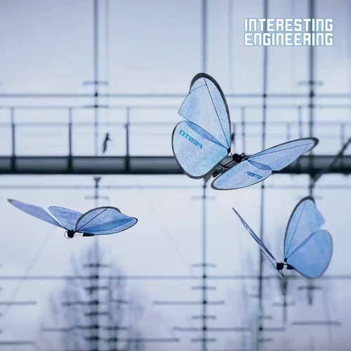 yKS sexJj22dpW1x.jpg