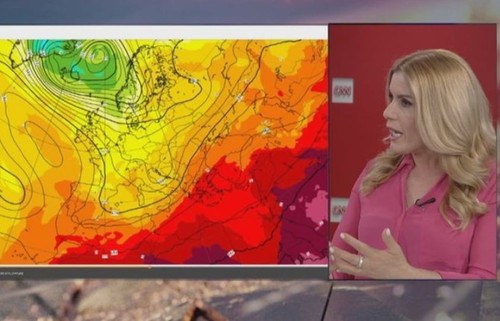 447247011 1141620697335615 945927560541969095 n.jpg?stp=dst jpg p180x540& nc cat=107&ccb=1 7& nc sid.jpg