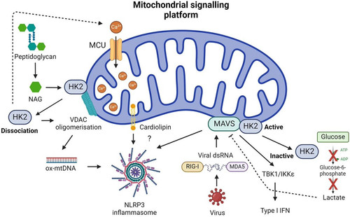 GPEZS eXoAA7D9u?format=jpg.jpg