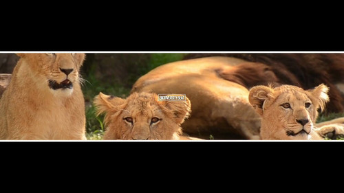 wk4wm K2jzk62tSB.jpg