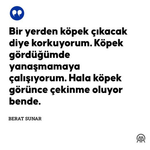 447507129 792065846395187 7212598202482955799 n.jpg?stp=dst jpg p526x296& nc cat=102&ccb=1 7& nc sid.jpg