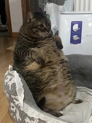 IMG 20240602 212012.jpg