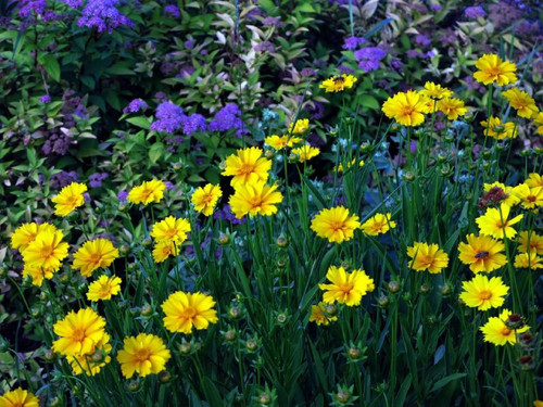 BEG7N64gv4T7WvIJJAo6FuVHuTzTLs9Sp1KPawZd6 IXUJXmmawDfmdOnvfgR4YvWTDlgzv1PbEucUJ554GffyZk3JtTkY10o4pp.jpg