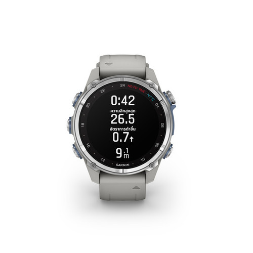 Descent Mk3, 43mm, Stainless Steel with Fog Gray Silicone Band.jpg