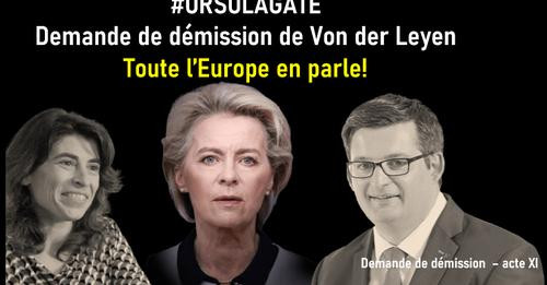 16503219605030321779?url=https%3A%2F%2Fwww.francesoir.fr%2Fsites%2Fdefault%2Ffiles%2F2024 06%2FDemis.jpg