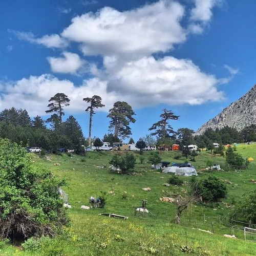 447485493 742602581418002 9117952209074233993 n.jpg?stp=dst jpg p600x600& nc cat=106&ccb=1 7& nc sid.jpg