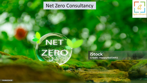 3.6.24 nzconsultancy.jpg