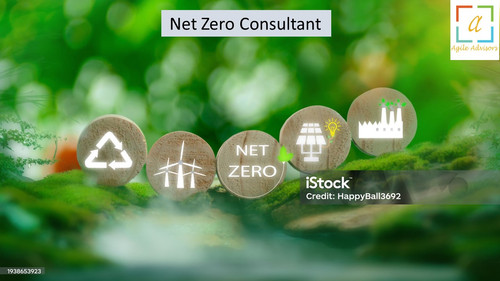 3.6.24 nzconsultant.jpg