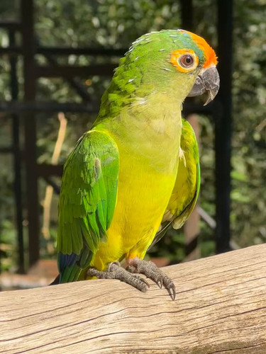 sIy1yutLZ YGbKMx.jpg