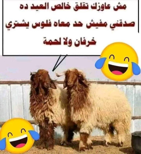 Screenshot 2024 06 04 01 04 32 20.jpg