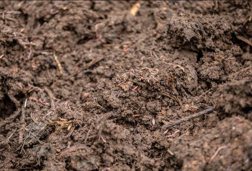 GPK XZVWMAAK8nI?format=jpg.jpg