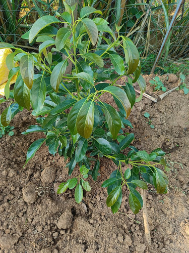 GPD95a XQAAtJsf?format=jpg.jpg