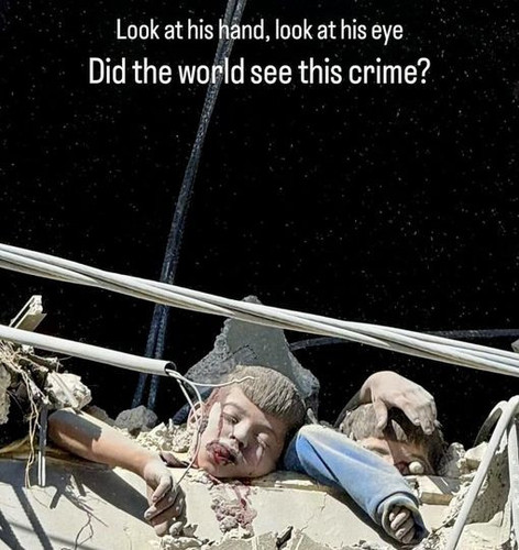 447551769 1008655140624419 8336147563297827922 n.jpg?stp=cp6 dst jpg p180x540& nc cat=104&ccb=1 7& n.jpg