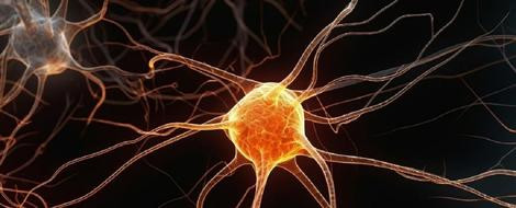 NXdV3o1PCsalDxlj57PCLchQmqC0FRXdrk6VqpuX88dR dRor0JvNXehOfffHxXr2IaGTJfeQcXfKP6 O1sXtKxXQmF9C1dRxwHY.jpg