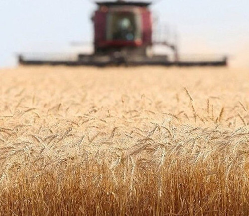 OzayOnVVLhzOLMeyVXT92sF2yoZPPa izITDMm7BzD9uYinvJW1LhzPvXO1hIXSXfcl24 RifwFxbAZg3OJx6ZEMhJ8VMI84tnm6.jpg