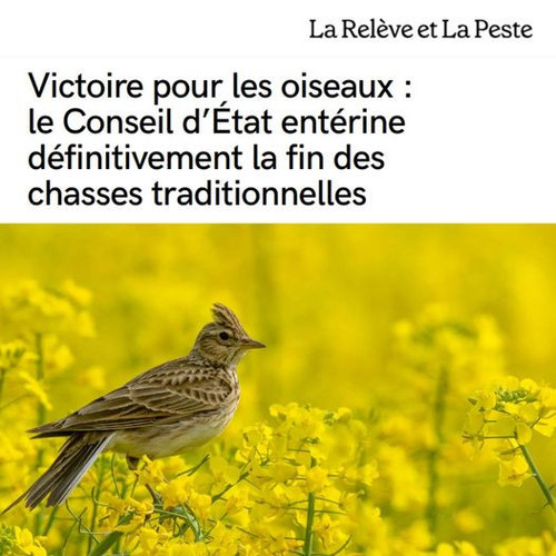 441161201 883764047115175 5065145475126816992 n.jpg?stp=dst jpg p526x296& nc cat=104&ccb=1 7& nc sid.jpg