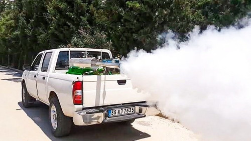 447465496 742353898109537 9209538891947860491 n.jpg? nc cat=101&ccb=1 7& nc sid=5f2048& nc ohc=S3XnR.jpg