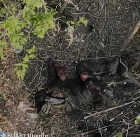 Bd9pX3t7R1r3oSO .jpg