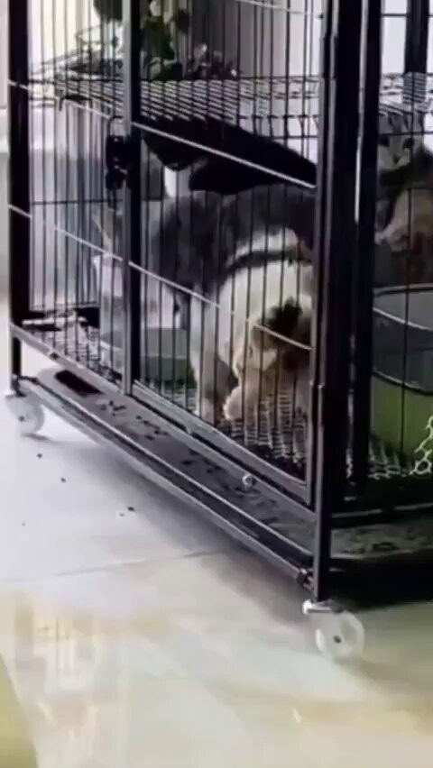 UCZGXGyJGWE VMkr.jpg