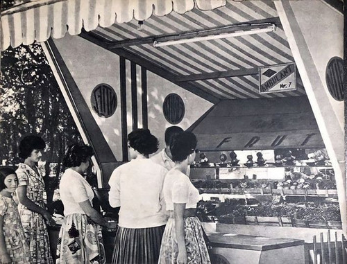 447568716 846582017503022 1359472926201326768 n.jpg?stp=dst jpg p180x540& nc cat=107&ccb=1 7& nc sid.jpg