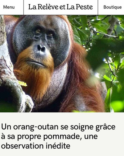 443714920 890249623133284 2627994288165478597 n.jpg?stp=dst jpg s640x640& nc cat=106&ccb=1 7& nc sid.jpg