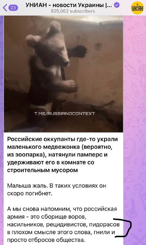 VgtUjbuvOcDXxgkhtKlcqvUo4teIRX3G1bmbMNslBesr7DnGO8mcfD8wW97h2Bmzack VkmswSl54hJXZ8ocTZZpkvwBYp1WgBoV.jpg