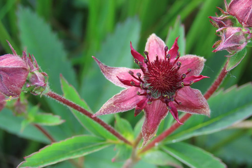 GPFz uEXAAAcfYm?format=jpg.jpg