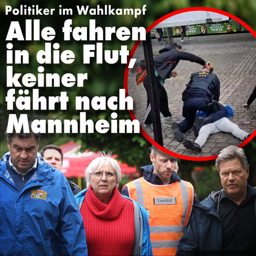 GPIwOjqW8AAL35r?format=jpg.jpg