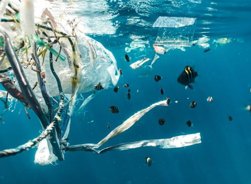 Environmental Toxins Everything You Need to Know.jpg