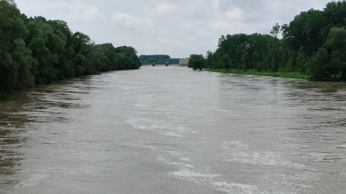 Donau 20240602 130614.jpg