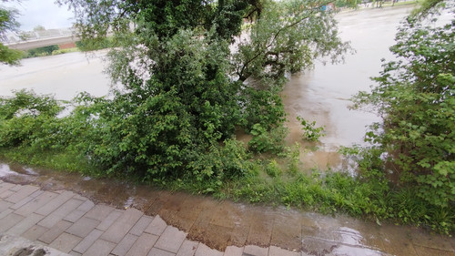 Donau 20240602 133034.jpg