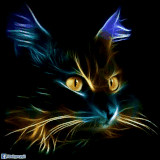 5e34e94ca9cd868245d41538b9b2efc7.gif