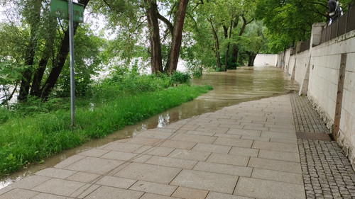 Donau 20240602 133159.jpg
