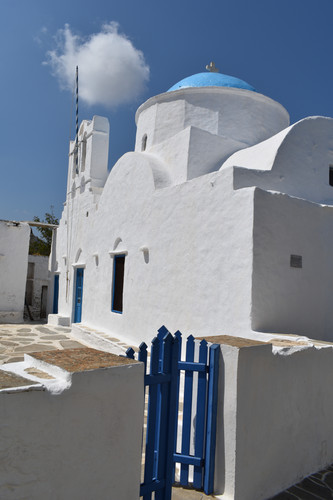 DSC 0387.jpg
