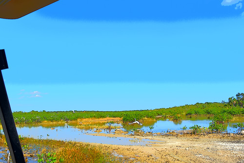 DSC 0132.jpg