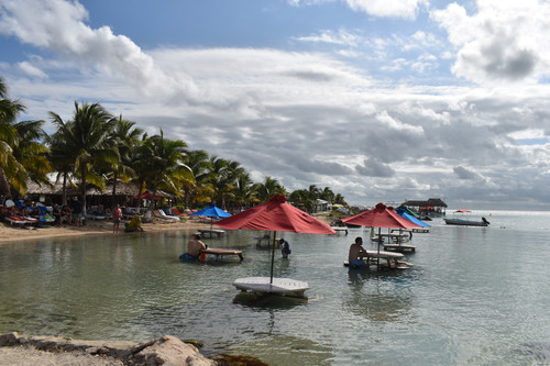 DSC 0174.jpg