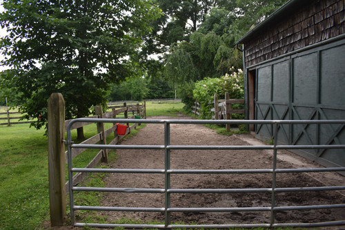 DSC 0178.jpg