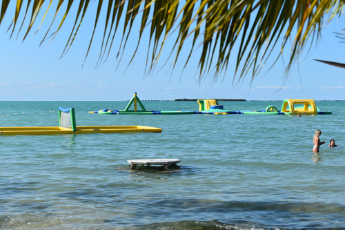 DSC 0095.jpg