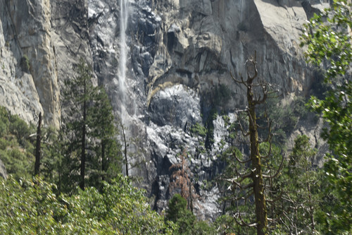 DSC 0311.jpg