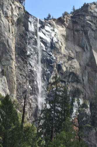 DSC 0317.jpg