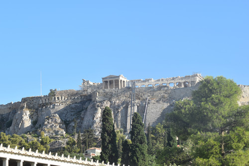 DSC 0338.jpg
