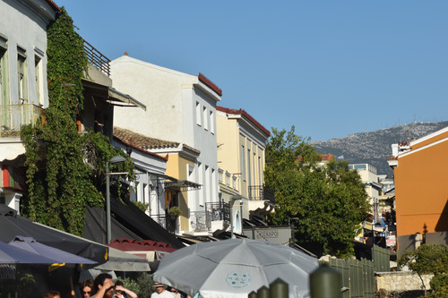 DSC 0349.jpg