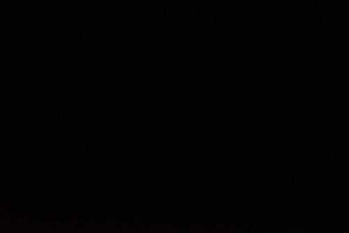 DSC 0111.jpg