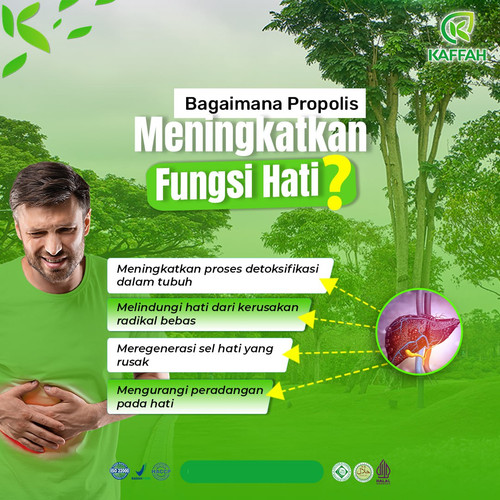 IMG 20240222 082338 892.jpg