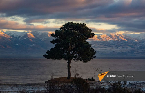 447296384 1021362579993293 3054289768786042884 n.jpg?stp=dst jpg p180x540& nc cat=100&ccb=1 7& nc si.jpg