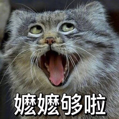 QQ图片20240604201540.jpg