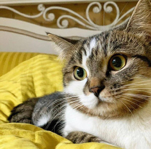 kp7d5XMT7SR2YbIRoeZYMwJeepXIYefDt8msT4zSiIXAKuUT82UjzMEUIYVHawuJ0LqpbVKkCr KbltCUNXx31pX2xjPrWx86rjk.jpg