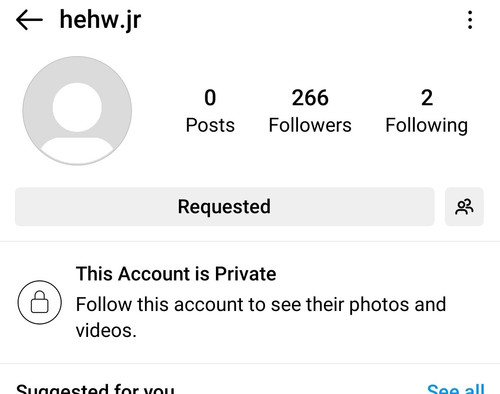 Screenshot 20240603 174513 Instagram Lite.jpg