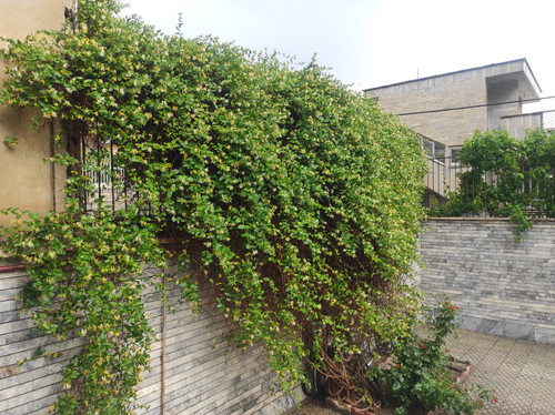 IMG 20240522 171333.jpg